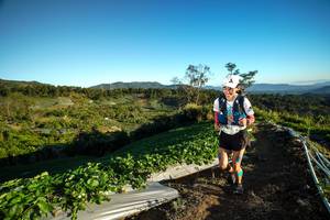 BIB: 
                            <button type="button" onclick="openModal(19109655)" class="btn btn-primary btn-sm float-right btn-popup" data-toggle="modal" data-target=".modal-high-quality">
                        <i class="fas fa-shopping-cart"></i> Add to Cart
                    </button>
                                            <button type="button" onclick="isThisMe(19109655, true)" class="btn btn-success btn-sm float-right btn-popup btn-isme hidden" data-toggle="tooltip" data-placement="bottom" title="นี่คือรูปของคุณใช่ไหม คลิกที่นี่เพื่อเอาเข้าอัลบั้ม">
                        <i class="fas fa-plus"></i> Add to album
                    </button>
                    <button type="button" onclick="isThisMe(19109655, false)" class="btn btn-warning btn-sm float-right btn-popup btn-isnotme hidden">
                        <i class="fas fa-ban"></i> Remove from album
                    </button>